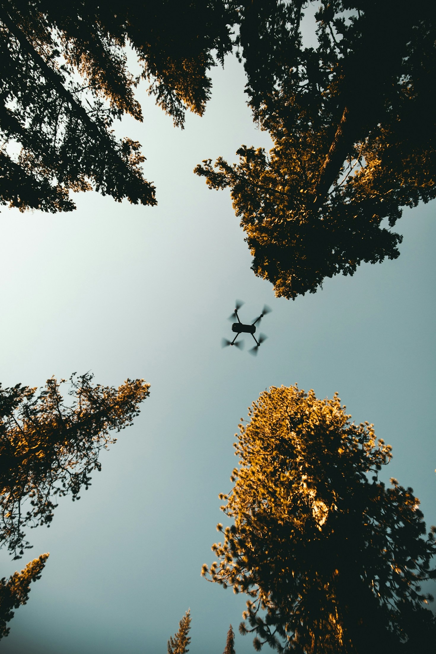 Promoting a Sustainable Future through Drone Technology
